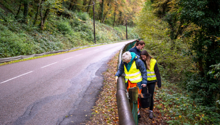 Chantier de démontage du dispositif printanier de sauvetage routier des amphibiens à Vorges-les-Pins